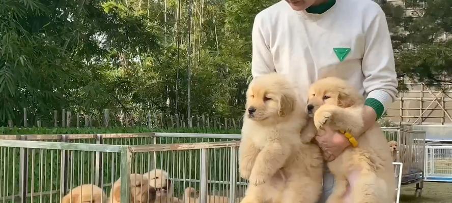 文章详情图片