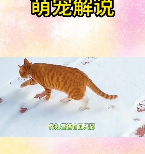 文章详情图片