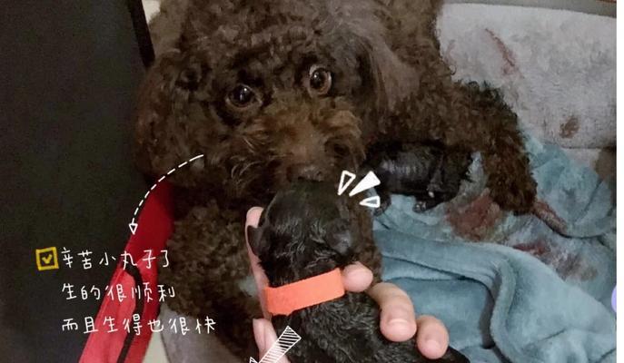 文章详情图片