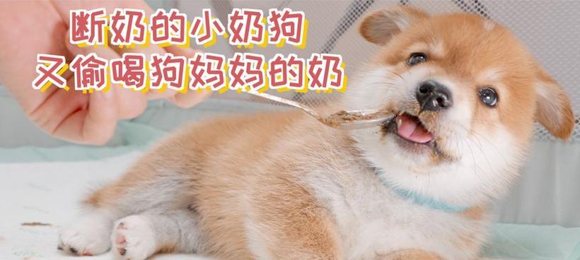 文章详情图片
