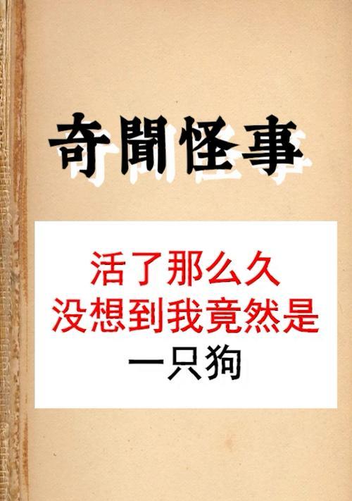 文章详情图片