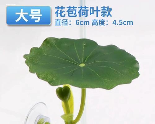 文章详情图片