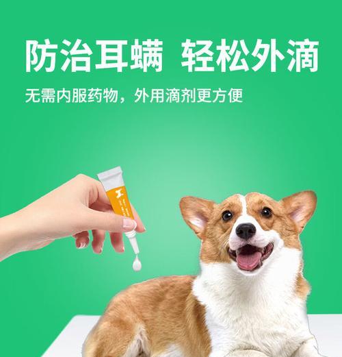 文章详情图片
