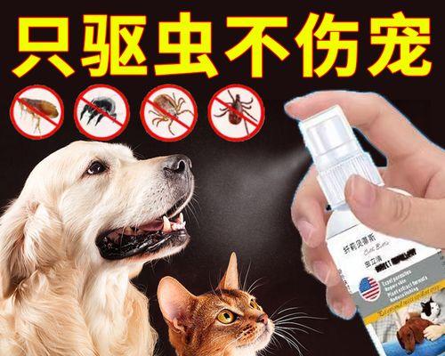 文章详情图片