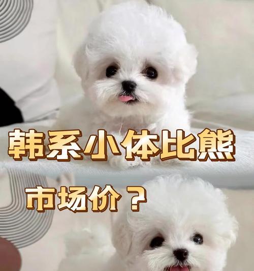 文章详情图片