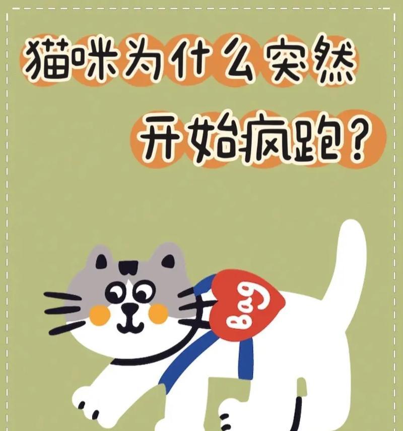 文章详情图片