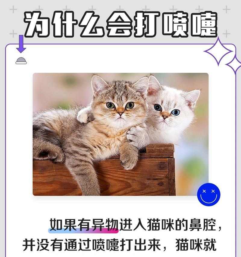 文章详情图片