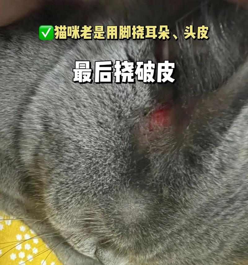 文章详情图片