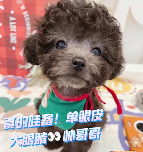 文章详情图片