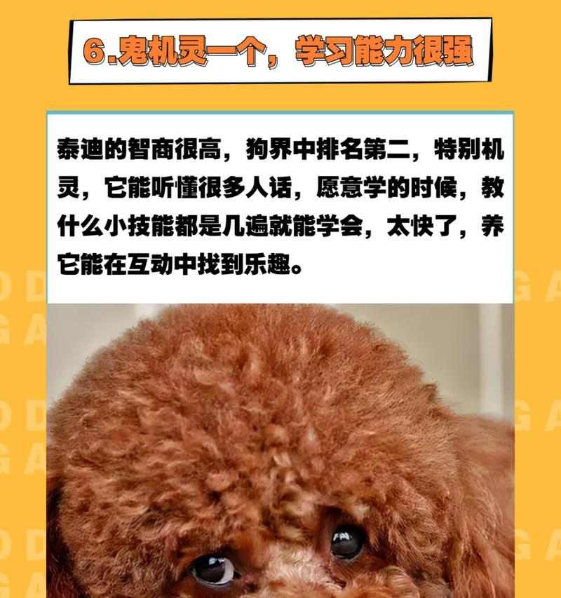 文章详情图片