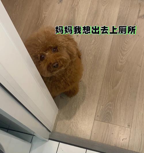 文章详情图片