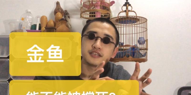 文章详情图片