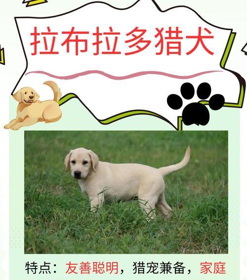 文章详情图片