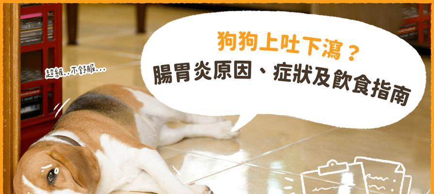 文章详情图片