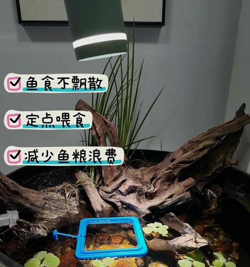 文章详情图片