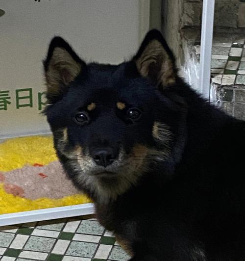 文章详情图片