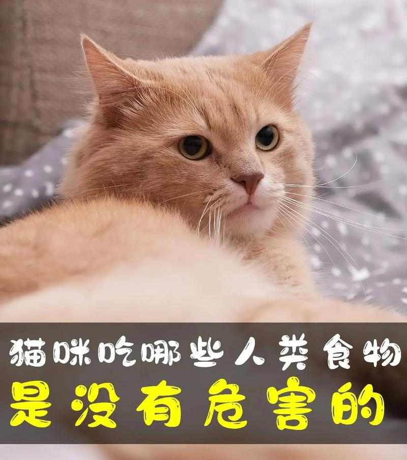 文章详情图片