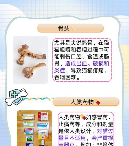 文章详情图片