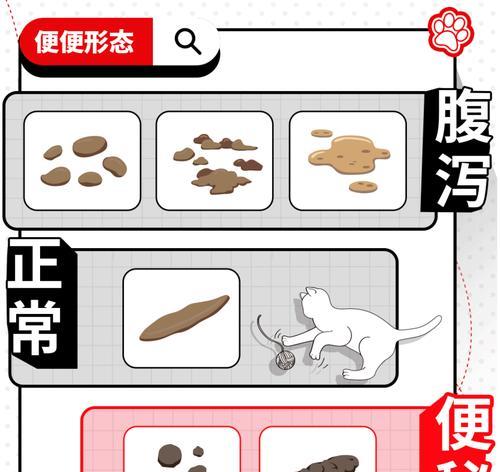 文章详情图片