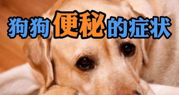 文章详情图片
