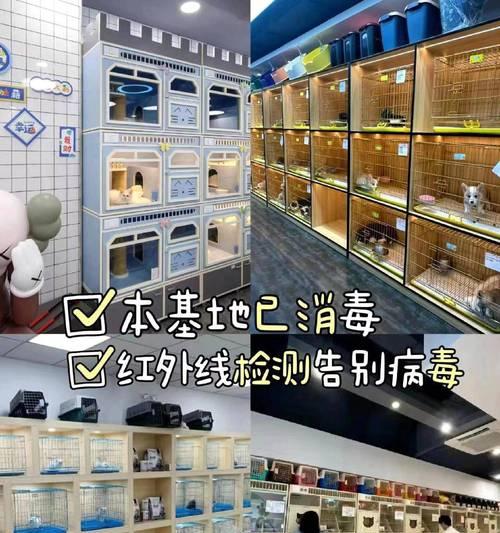 文章详情图片