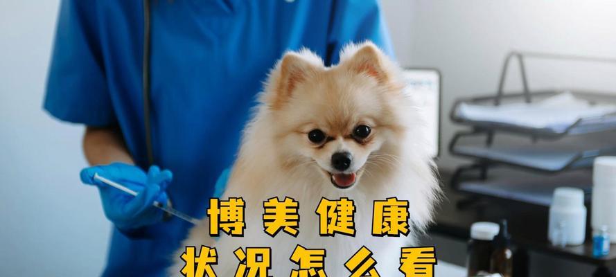 文章详情图片