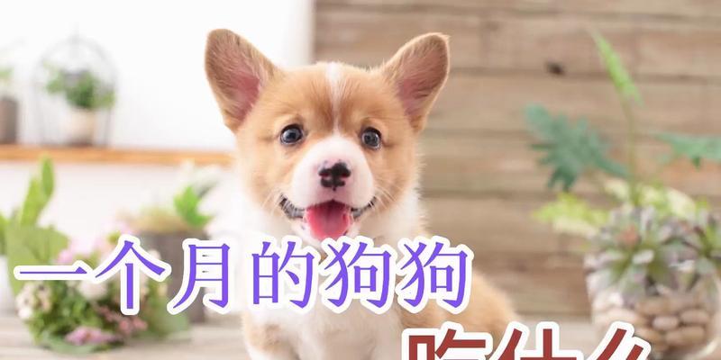 文章详情图片