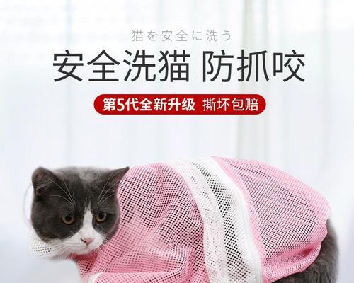 文章详情图片