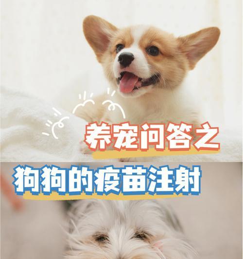文章详情图片