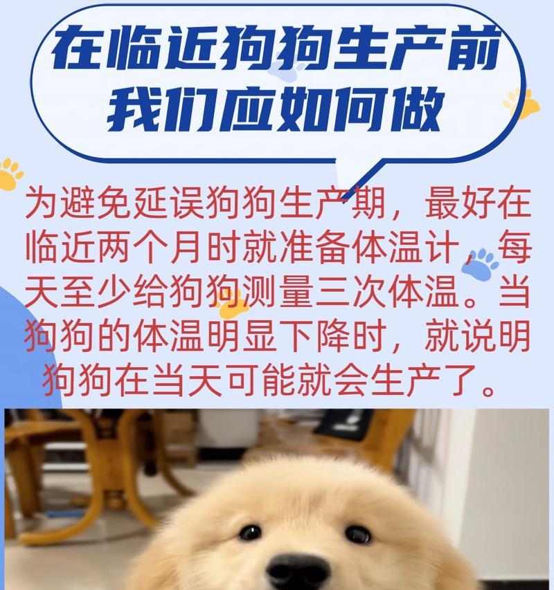 文章详情图片