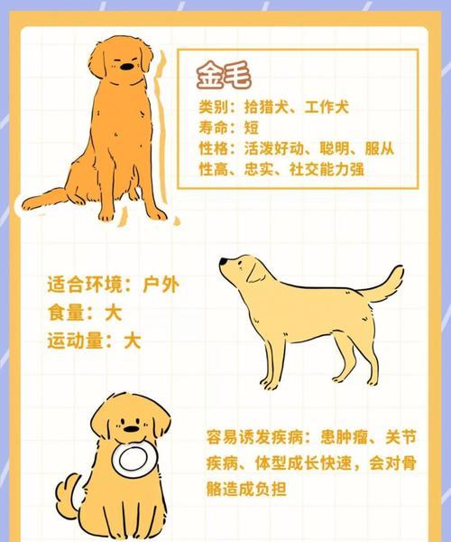 文章详情图片