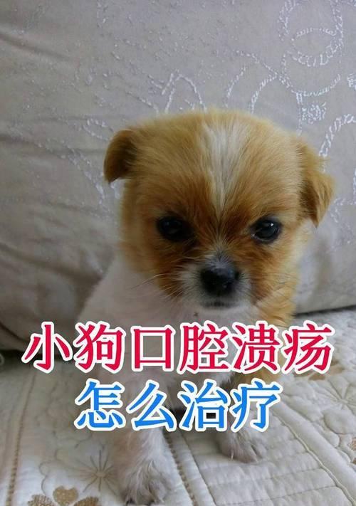文章详情图片