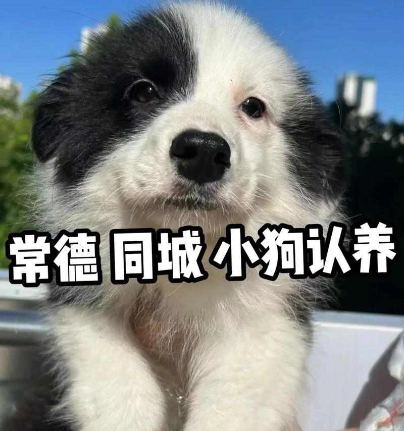 文章详情图片