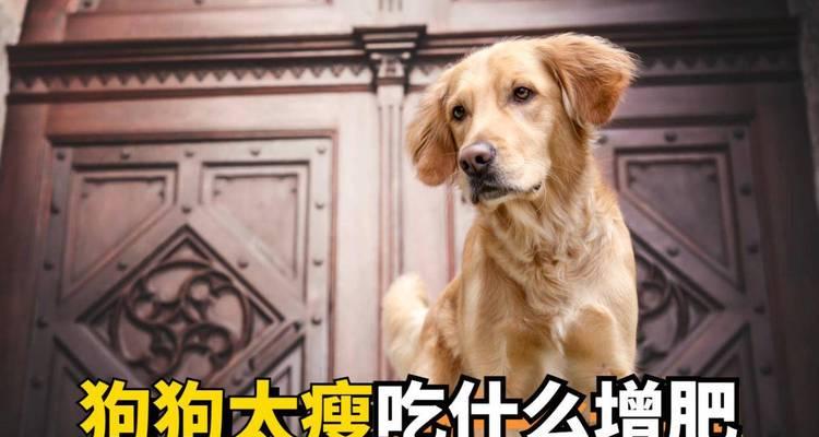 文章详情图片