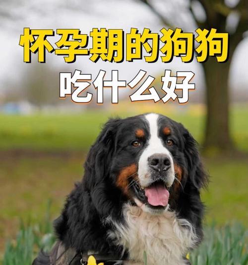文章详情图片