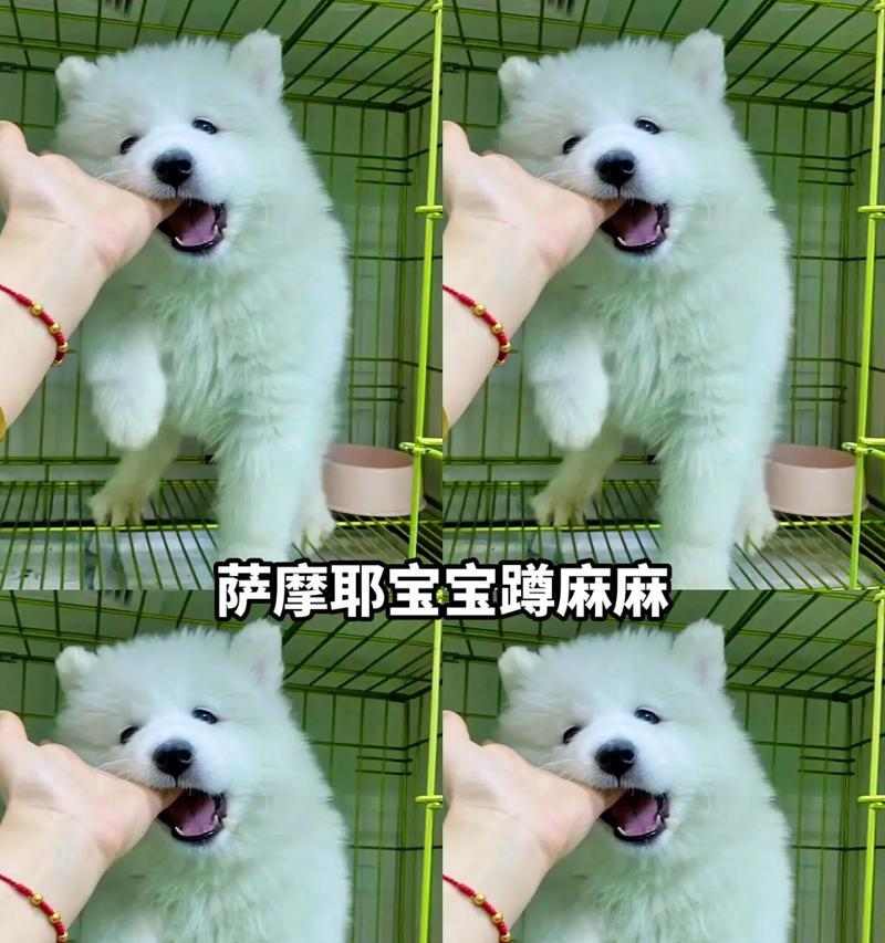 文章详情图片