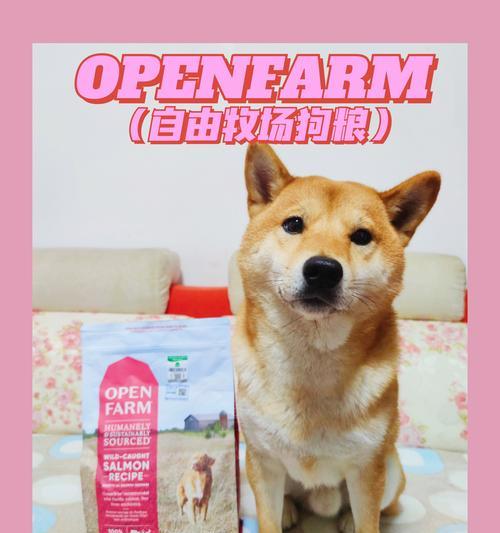 文章详情图片