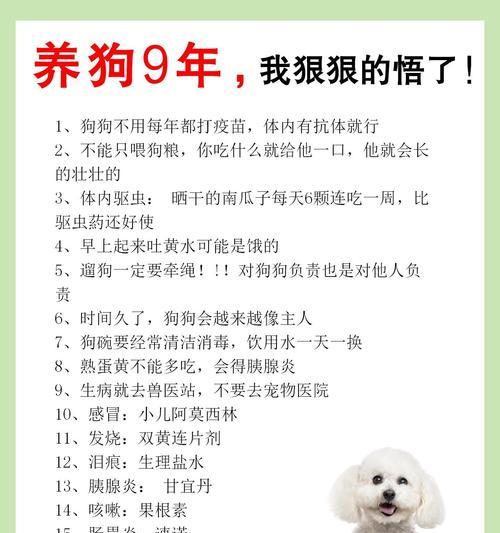 文章详情图片