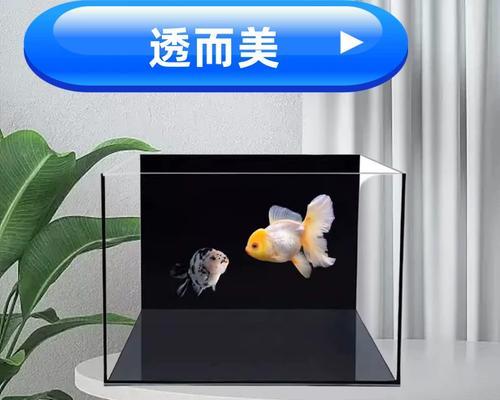 文章详情图片