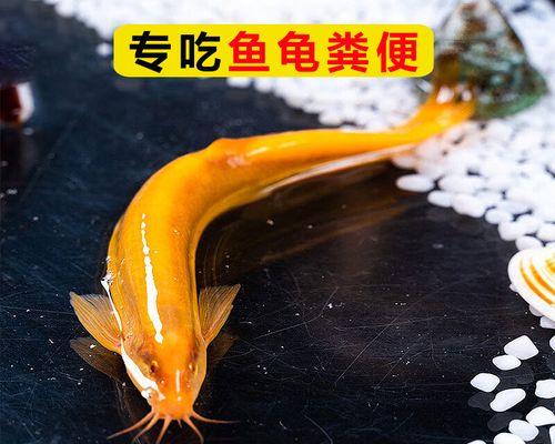 文章详情图片