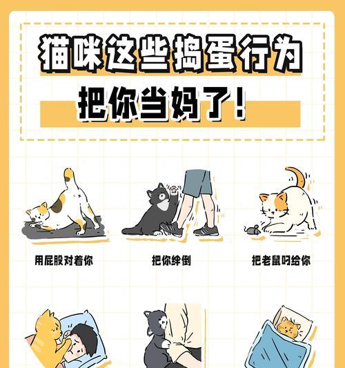 文章详情图片