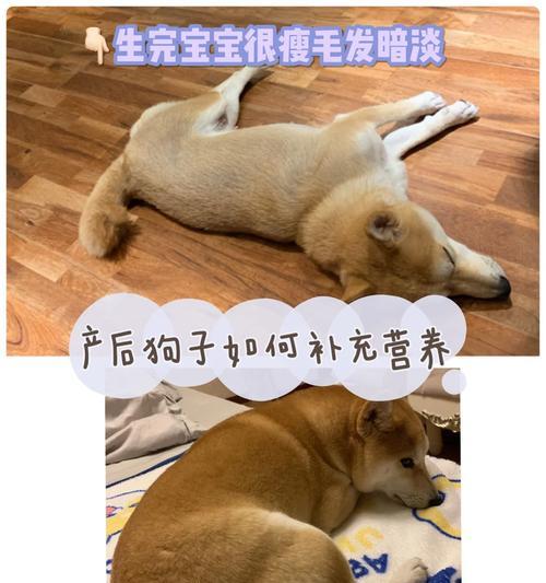 文章详情图片