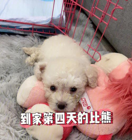 文章详情图片