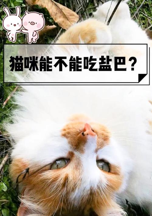 文章详情图片