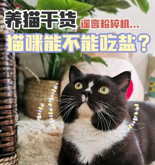 文章详情图片