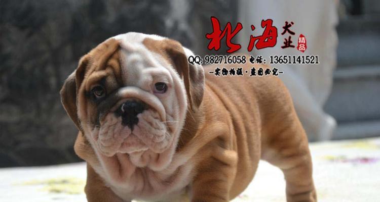 文章详情图片