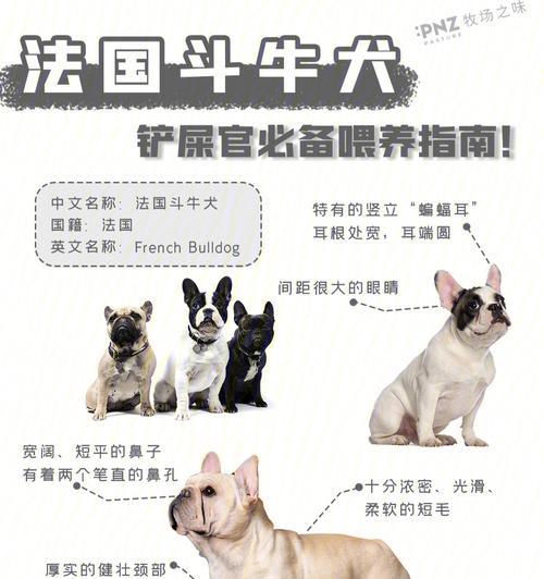 文章详情图片