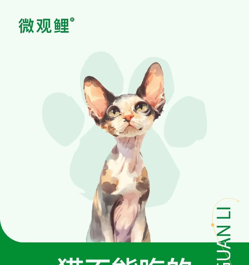 文章详情图片