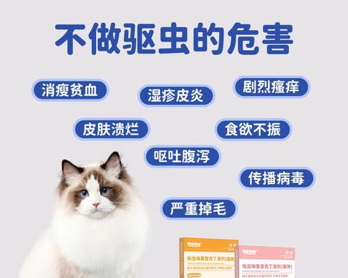 文章详情图片