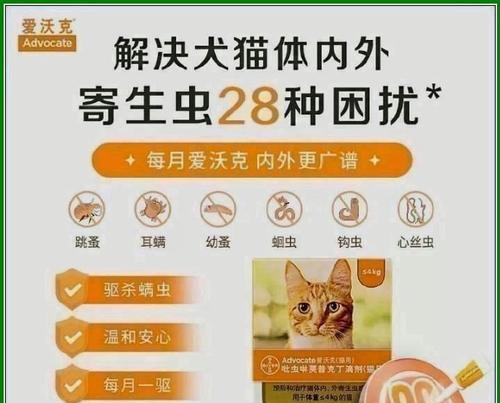 文章详情图片